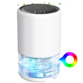Quiet Home Dehumidifier