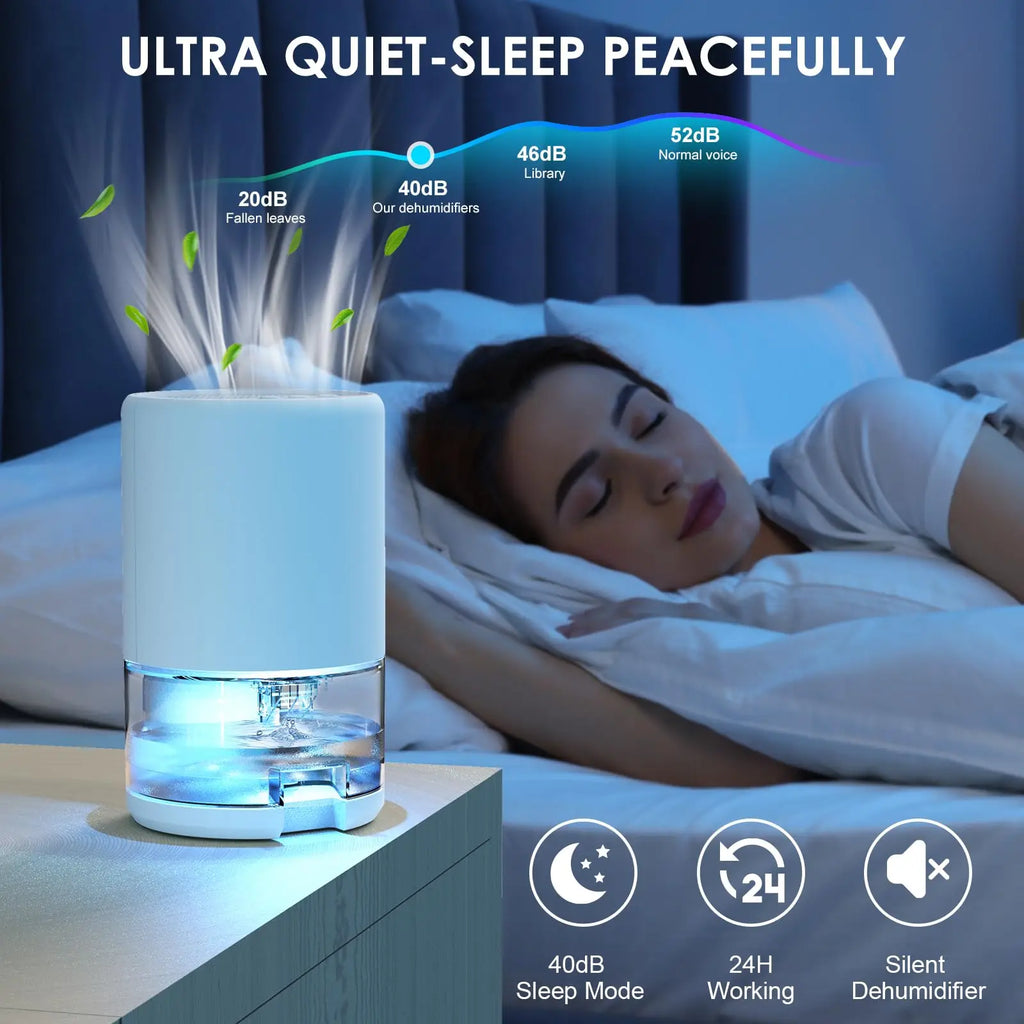 Quiet Home Dehumidifier