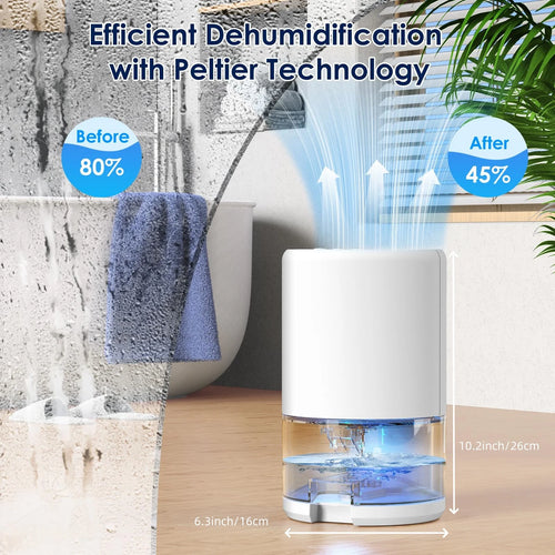 Quiet Home Dehumidifier
